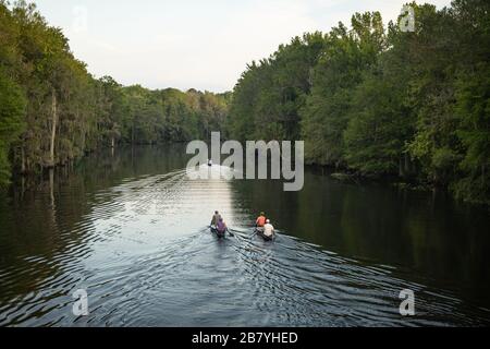 Kanufahren auf dem Withlacoochee River in Dunnellon, Florida. Paddelübung am frühen Morgen auf einem malerischen Fluss FL. Stockfoto