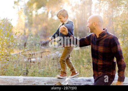 Mann, der die Hand des Sohnes hält, während er auf einem umgestürzten Baum geht Stockfoto