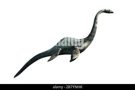 Hier ist ein Seeungeheuer im Profil auf weißem Hintergrund, es sieht aus wie ein Plesiosaurier und könnte das Nessie oder Champ sein, das Lake Champlain Monster Stockfoto