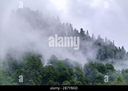 Hohe Berge mit grünen Hängen in dicken Wolken und Nebel versteckt. Starker Nebel in den Bergen an einem bewölkten Tag. Stockfoto