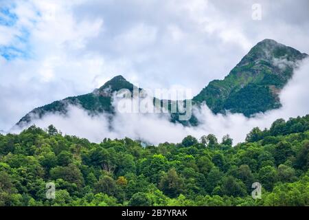 Hohe Berge mit grünen Hängen in dicken Wolken und Nebel versteckt. Starker Nebel in den Bergen an einem bewölkten Tag. Stockfoto