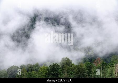 Hohe Berge mit grünen Hängen in dicken Wolken und Nebel versteckt. Starker Nebel in den Bergen an einem bewölkten Tag. Stockfoto