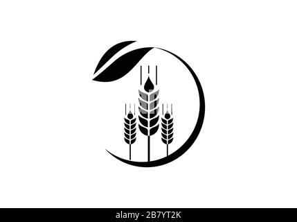 Weizenährensymbol und Logo. Für den Identitätsstil von Natural Product Company und Farm Company. Landwirtschaftliche Symbole isoliert auf weißem Hintergrund. Stock Vektor