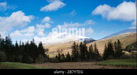 Der schneebedeckte Berg Bodesbeck Law im Spätwinter. Moffat Dale, Dumfries & Galloway, Schottland. Panorama Stockfoto