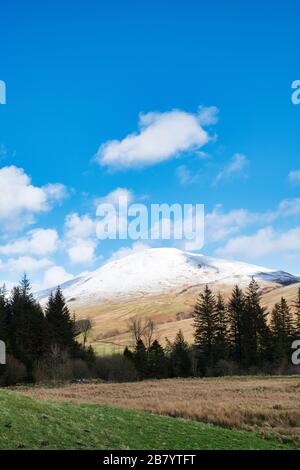 Der schneebedeckte Berg Bodesbeck Law im Spätwinter. Moffat Dale, Dumfries & Galloway, Schottland Stockfoto