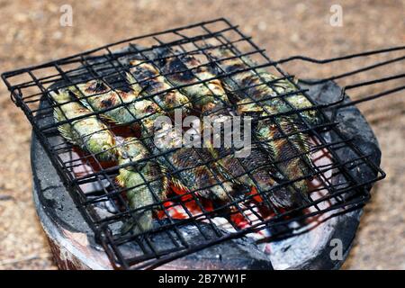 Gegrillter Fisch, thailändische Küche gegrillter Kletterfisch auf dem Grat auf Holzkohlenofen, asiatische Fischkost, (Anabas testudineus) Stockfoto