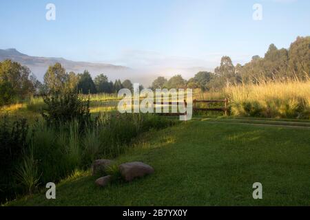 Wiese mit Holzbrücke über kleinen Bach Stockfoto