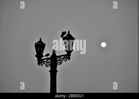 Vollmond, zwei Krähen auf antiker Lichtstange, Gateway of India, Apollo Bunder, Colaba, Bombay, Mumbai, Maharashtra, Indien, Asien Stockfoto