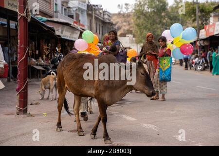 Eklingji, Indien - 15. März 2020: Szene im Straßenleben im ländlichen Indien, mit Kindern, die Luftballons verkaufen, Kühe herumlaufen und Marktverkäufern Stockfoto