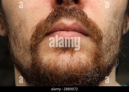 Der untere Teil des Gesichts eines weißen Mannes mit Bart und Schnurrbart. Stockfoto