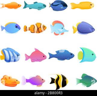 Ichthyologie-Symbole gesetzt. Cartoon-Satz von Ichthyologie-Vektorsymbolen für das Webdesign Stock Vektor