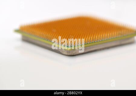 Zentrale Prozessoreinheit. Goldene Stifte eines Kerns. Kopierbereich. Geringe Schärfentiefe. CPU auf weißem Hintergrund. Stockfoto