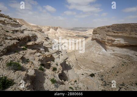 Wadi Hawarim, Negev-Wüste, Israel Stockfoto