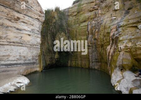 Wadi Hawarim, Negev-Wüste, Israel. In den Steinbecken sammelt sich Hochwasserwasser Stockfoto