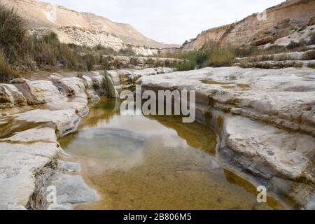 Wadi Hawarim, Negev-Wüste, Israel. In den Steinbecken sammelt sich Hochwasserwasser Stockfoto