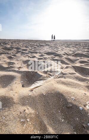 Fußabdrücke am Sandstrand am Meer am Tag laufen zwei Menschen in der Ferne eine Silhouette gegen einen blauen Himmel. Scheveningen, Niederlande Stockfoto