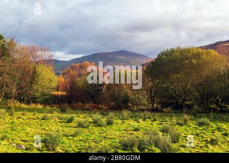 Bunte Landschaft irischer Berge in Herbstfarben.County Kerry, Irland. Stockfoto