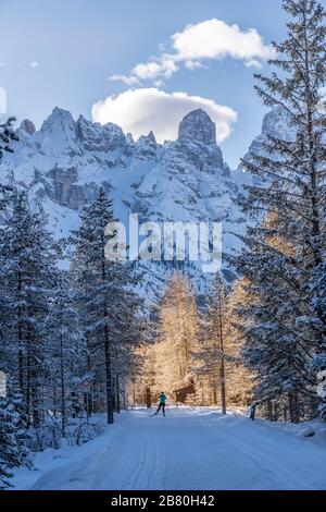 Winter-Berglandschaft mit dem Monte Cristallo in den drei Gipfeln der Region der Dolmen bei Toblach und Innichen, Südtirol, Italien, Landschaftsfotografie Stockfoto