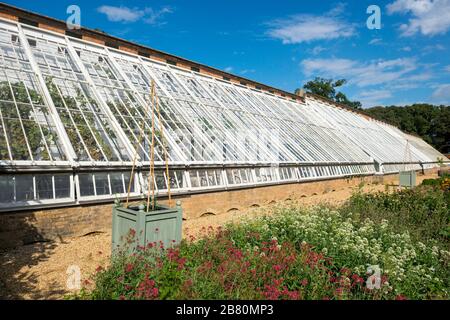 Die lang restaurierten viktorianischen Gewächshäuser im ummauerten Garten in der Holkham Hall in Norfolk Stockfoto