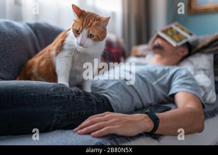 Der junge Mann schläft auf dem Sofa mit einem Buch auf dem Gesicht ein. Auf ihm sitzt eine weiße und braune Katze Stockfoto