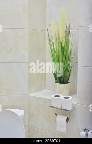 WC-Innenraum, dekorative Topffabrik, toilettenpapierrollen. Stockfoto