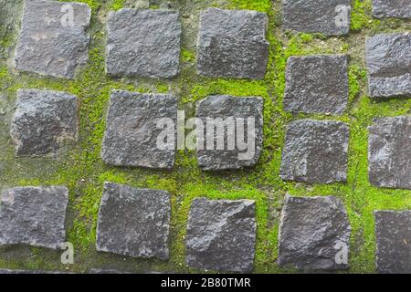 Hintergrund, Textur, eckige Steine aus Stein mit hellgrünen, mosigen Nähten. Kombination aus grauen und hellgrünen Farben Stockfoto