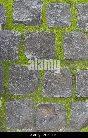 Hintergrund, Textur, eckige Steine aus Stein mit hellgrünen, mosigen Nähten. Kombination aus grauen und hellgrünen Farben Stockfoto