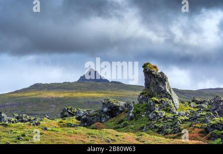 Moos bedecktes Lavafeld im Hochland von Island Stockfoto