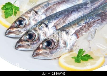 Drei rohe Makrelen im Makro. Stockfoto