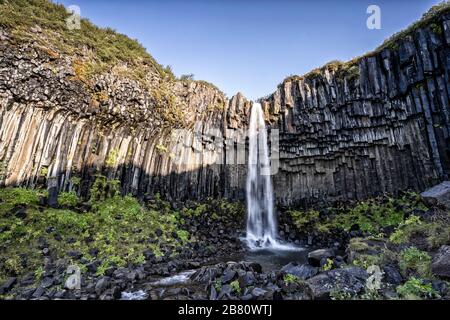 Svartifoss Wasserfall in Island in der Nähe des Vatnajokull Gletschers, berühmt für seine breite Basaltsteinmauer Stockfoto