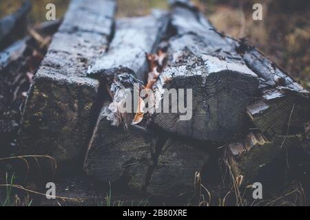 Alte Holzverfallene und ramshackige Bahnschwellen stapelten sich seitlich an der Bahnlinie Stockfoto