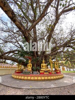 Vientiane, Laos - 29. Januar 2020. Statue des Goldenen Buddha auf der Pagode in Vientiane, Laos. Schätzungsweise 65 % der Gesamtbevölkerung werden als Buddh identifiziert Stockfoto