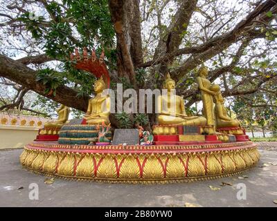 Vientiane, Laos - 29. Januar 2020. Statue des Goldenen Buddha auf der Pagode in Vientiane, Laos. Schätzungsweise 65 % der Gesamtbevölkerung werden als Buddh identifiziert Stockfoto