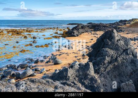 Der einzige goldene Strand in Island ist der Strand von Buðir, bedeckt von schwarzen vulkanischen Felsen, Landschaftsfotografie Stockfoto