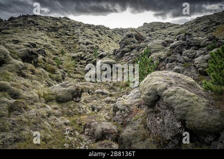 Vulkanische Landschaft und moosbedecktes Lavafeld in Island Stockfoto