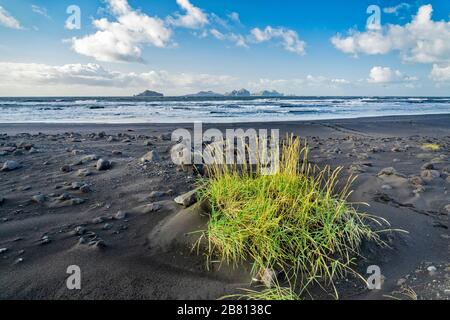 Vestmannaeyjar Inseln vor der Südküste Islands, Landschaftsaufnahme Stockfoto