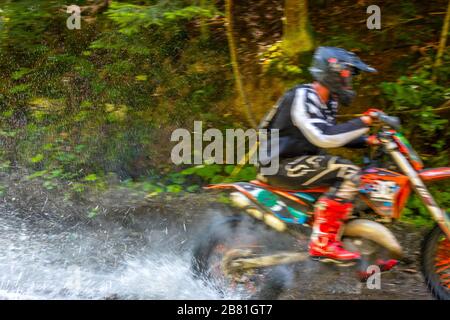 Sonniger Sommertag im Wald. Zwei Enduro-Athleten überwindet einen flachen Strom mit vielen Wasserspritzern Stockfoto