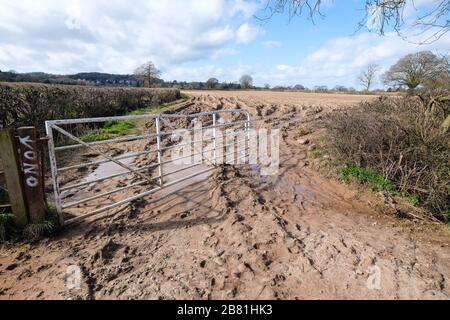 Überschwemmtes und tief gerutschtes Feld Stockfoto