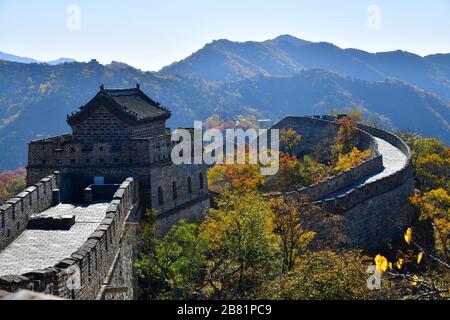 Chinesische Mauer in Mutianyu im Herbst mit wunderschönem Herbstlaub Stockfoto