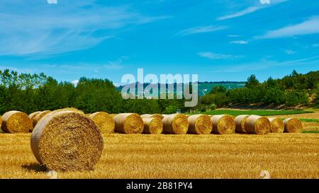 Große Strohrollen auf einem eigenen Feld nach der Ernte von Getreide - im august in der Nähe der Stadt Grinzane Cavour in der Provinz Cuneo, Region Piemont, im Norden Stockfoto