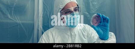 Wissenschaftler, der ein Petrischalen im Labor untersucht Stockfoto