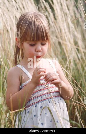 Junges Mädchen in Heuwiese in langen Gras saugen auf einem Grasstamm suchen entspannt auf dem Land zu sein, Stockfoto