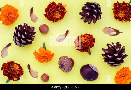 Kastanien, Kiefernzapfen, Brombeeren, Haselnüsse und Ahorn-Samen auf gelbem Grund Stockfoto