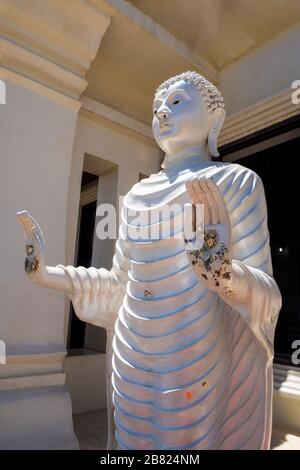 Rad des Dhamma-Symbols und Blattgold in der Palme der Buddha-Statue Stockfoto