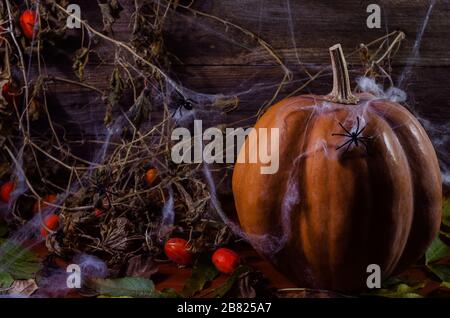 Kürbis im Netz und Spinnen im Hintergrund des Baumes zu Halloween Stockfoto