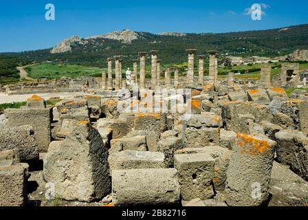 Die Basilika, alte römische Stadt namens Baelo Claudia, Tarifa, Campo de Gibraltar, Costa de la Luz, Cádiz, Andalucía, Spanien, Europa Stockfoto