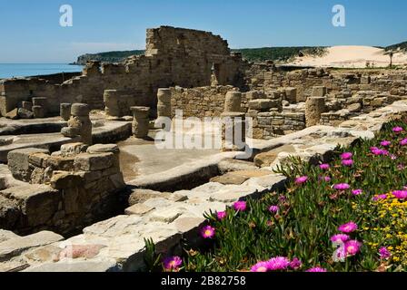 Ruinen einer Fabrik für gesalzene Fische. Alte römische Stadt mit Namen Baelo Claudia, Tarifa, Campo de Gibraltar, Costa de la Luz, Cádiz, A Stockfoto