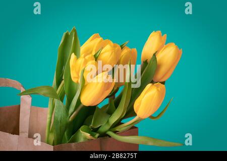 Blumenstrauß aus gelben Tulpenblumen in brauner Papiertüte auf Minzgrund Stockfoto