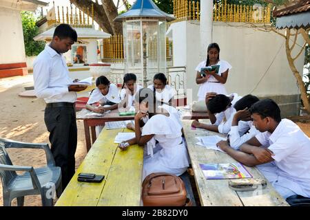 Sri Lanka, Mirissa, Dhammikagiri Viharaya buddhistischer Tempel, Sonntagsbuddhismusschule Stockfoto