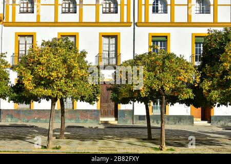 Ein typisches andalusisches Zuhause in Sevilla Stockfoto